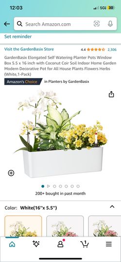 Self Watering Planter