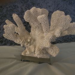 Small Coral Statue
