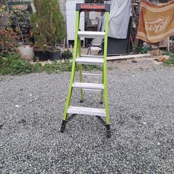 Little  Giant  Ladder  5 Feet