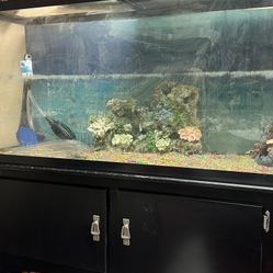 Fish Tank With Stand 