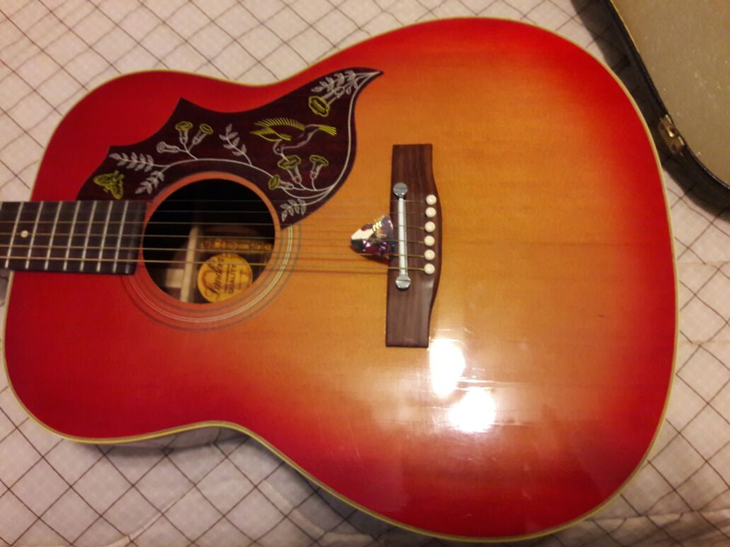 Landola hummingbird 2024