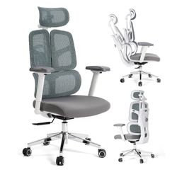 Ergonomic Office Chair