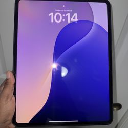13-inch Ipad Pro (2024)