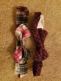 Bow tie
