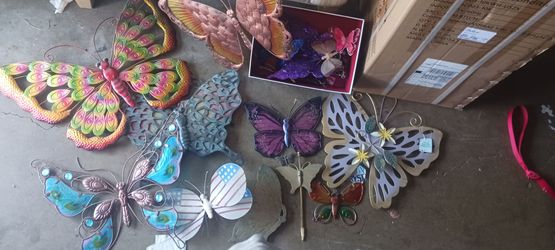 Butterfly collection