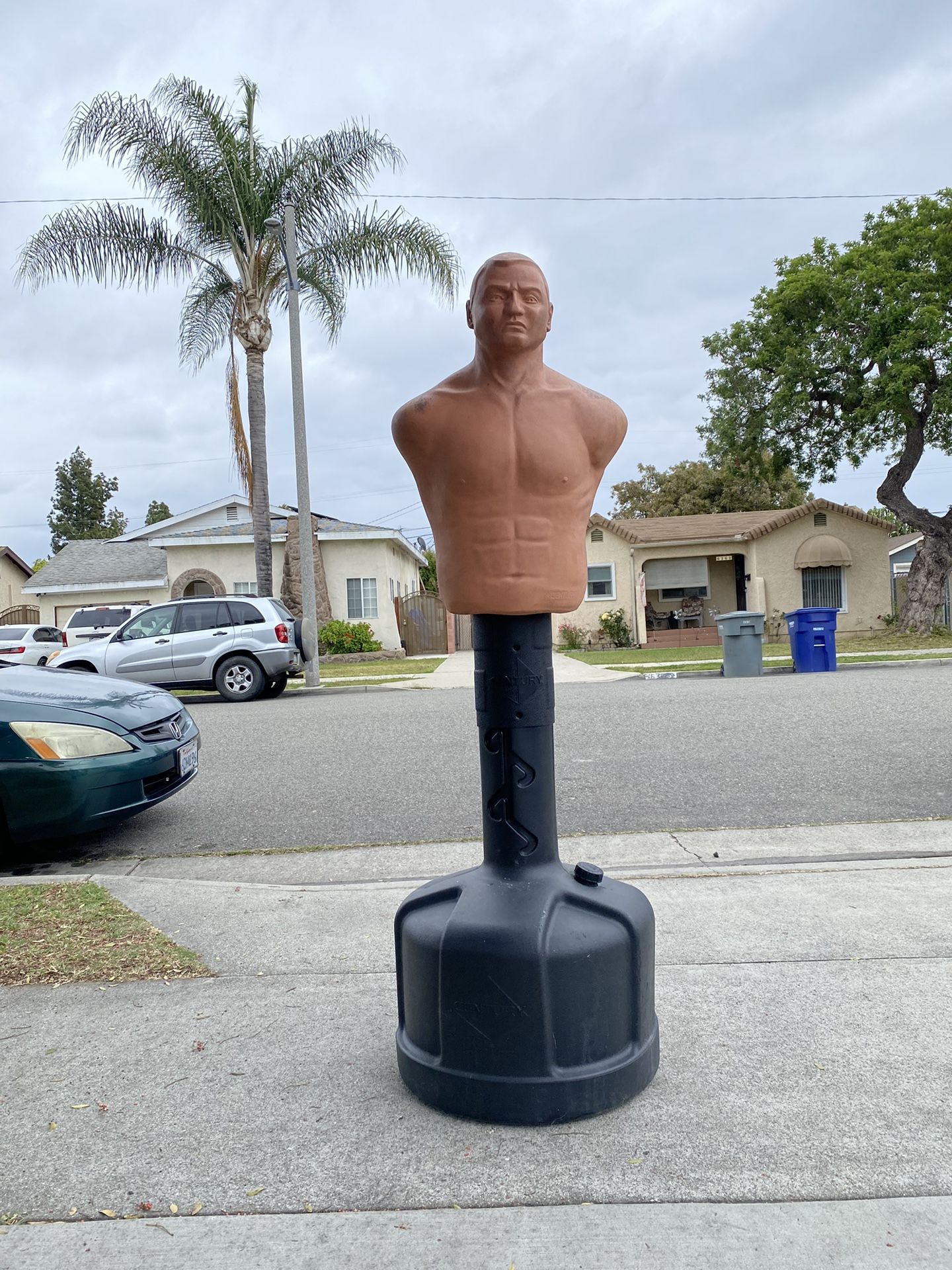 CENTURY PUNCHING BAG BOB