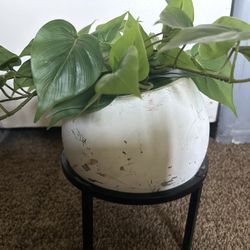 Pot With Stand And Fake Plant