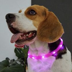Light Up Dog Collar Pink Size Small 