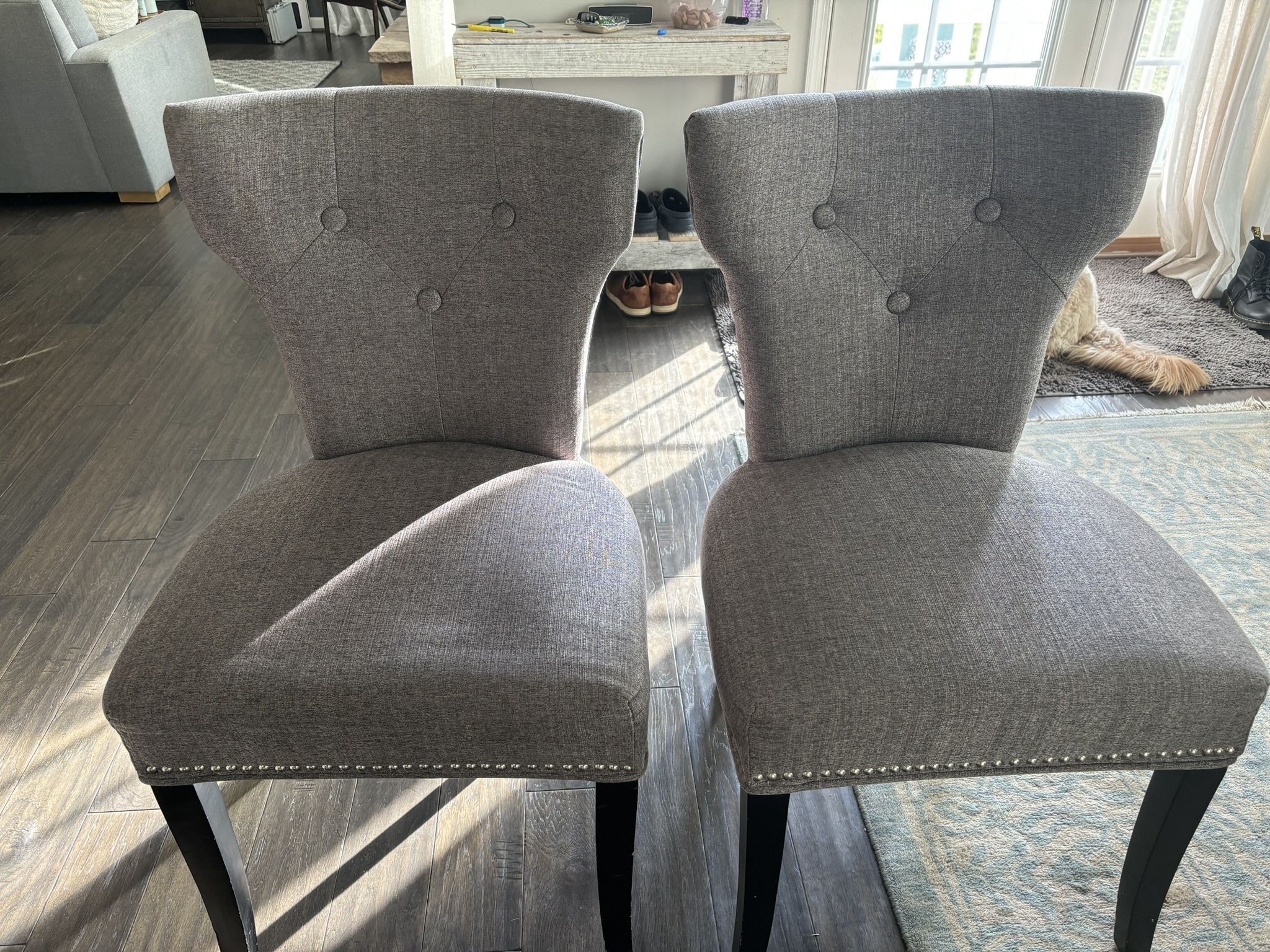 Silver Linings Dining Chair - A Pair 