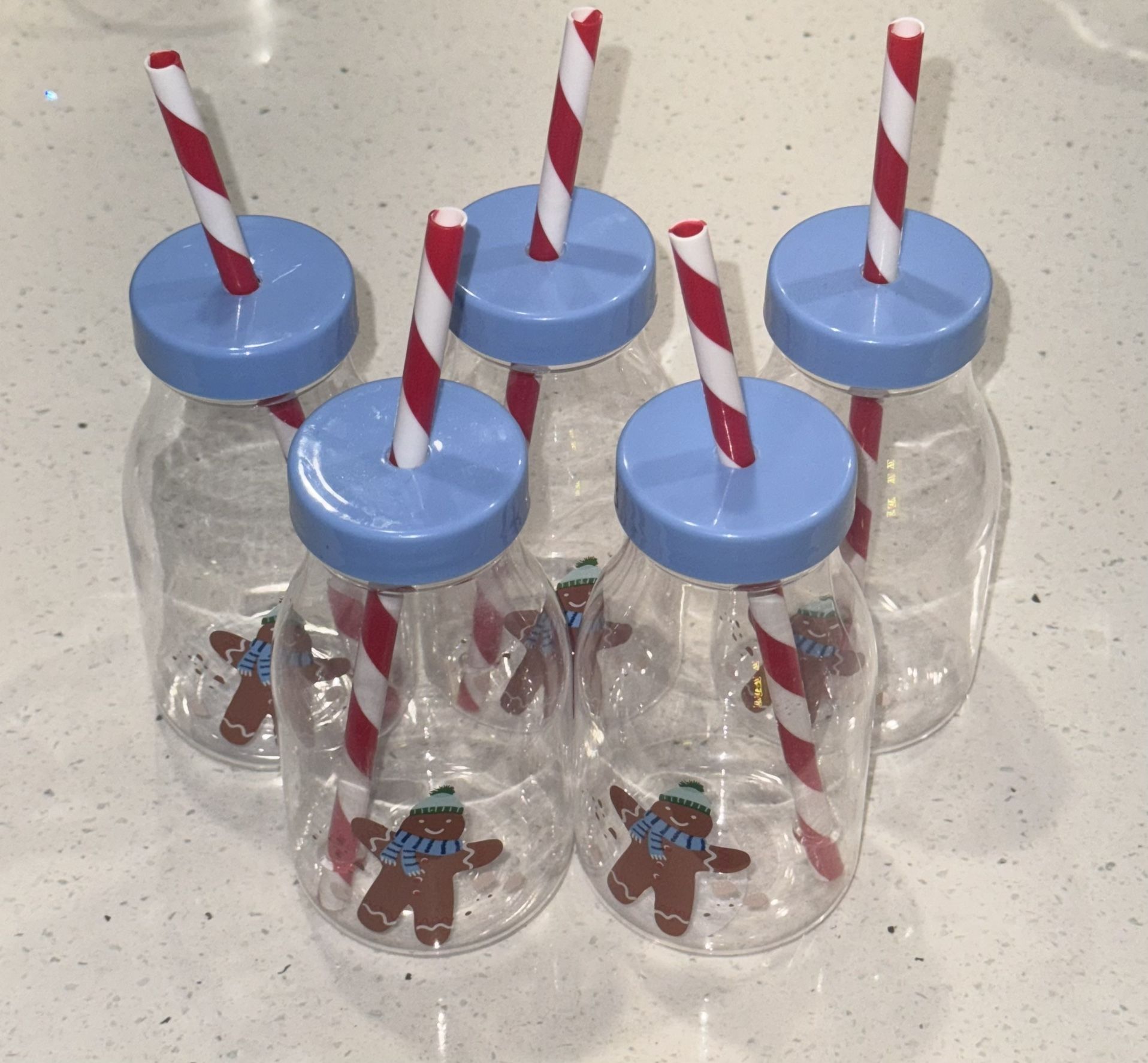 5 Christmas Milk Bottles