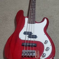Bass Guitar  For Someone Who Wants to Start Playing Bass
