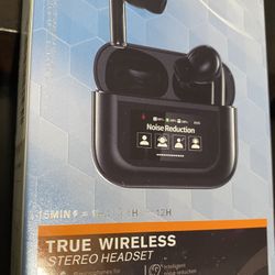 2025 True Wireless Stereo Headset 