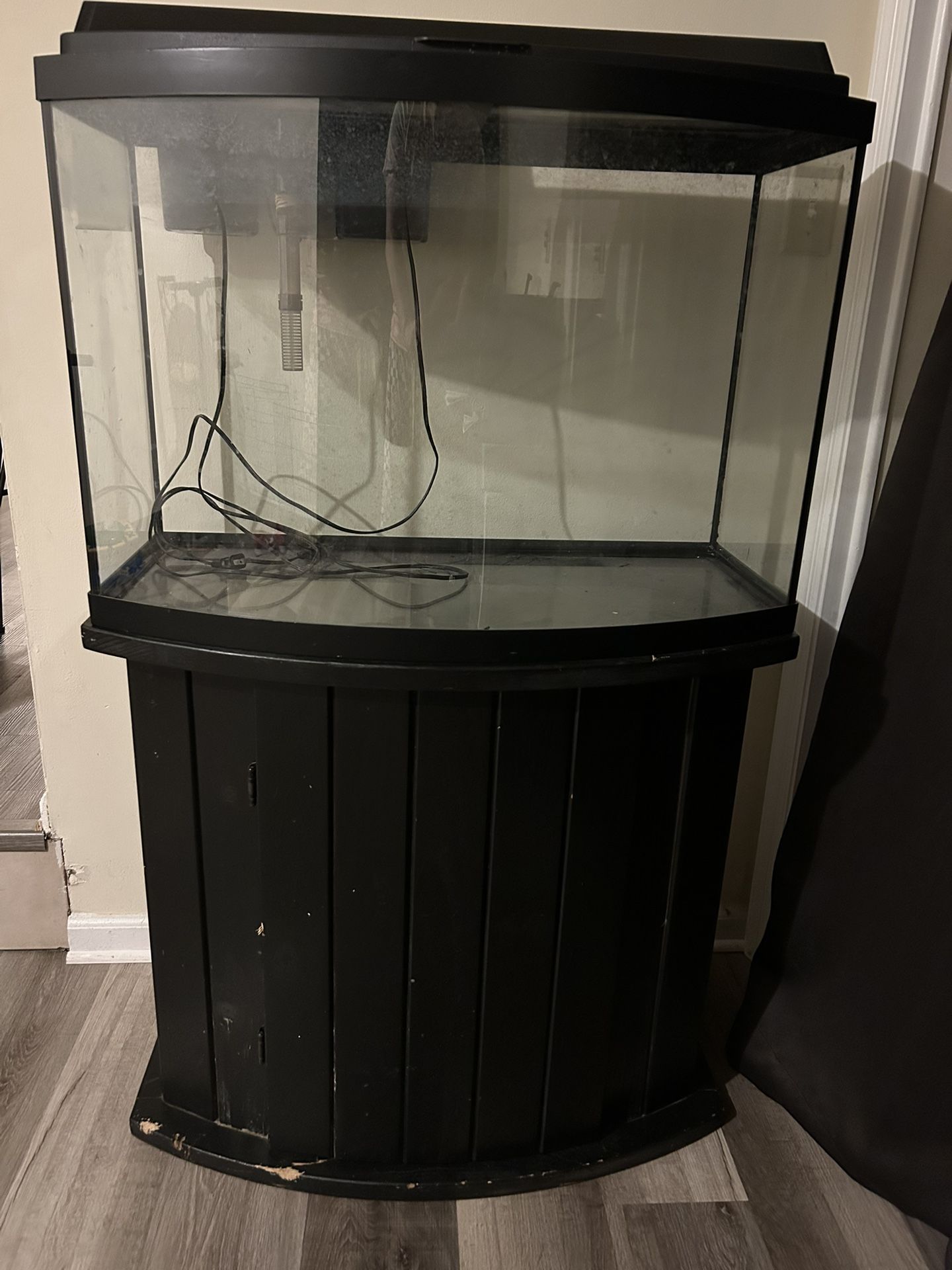Large Fish Tank