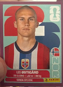 Panini World Cup Sticker *rare purple “Leo Ostigard”