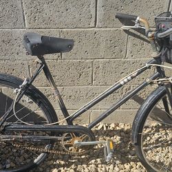 Vintage cruiser bike