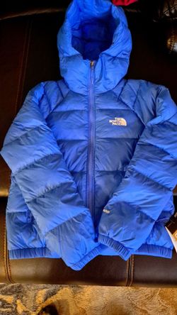 The North Face Blue Puffer Jacket with Hood