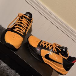 Kobe V Protro 10.5
