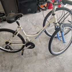 Schwinn Bike 