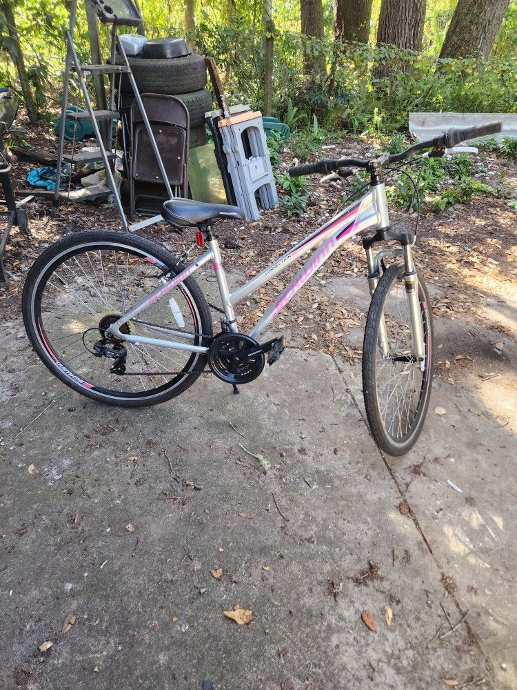21 Speed Schwinn 26in