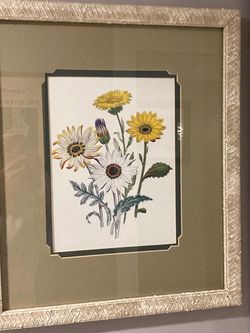 Flower Prints