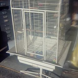 Bird Cage