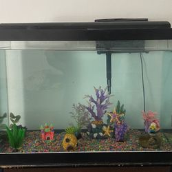 Fish Tank 