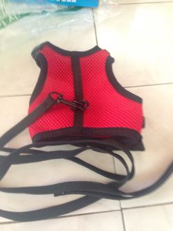 Animals harness size S