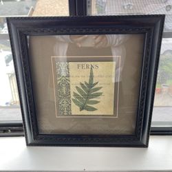 World Market Fern Picture