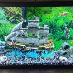 Acuario 55 Galones 