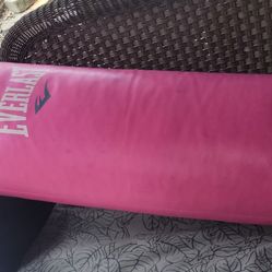 EVERLAST PUNCHING BAG..#75?