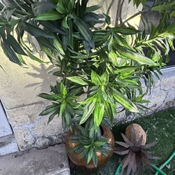 Fake Tree For Home Decor 
