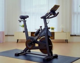 Gym Exercise Bike Cursor Stationary