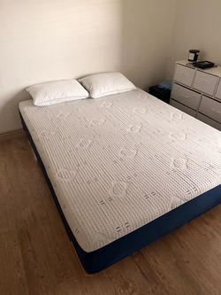 Queen Sealy Memory Foam Mattress