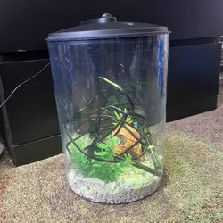 3 Gallon Fish Tank