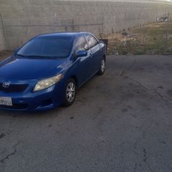 2009 Toyota Corolla