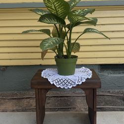 Vintage Wooden Plant Stand/Stool