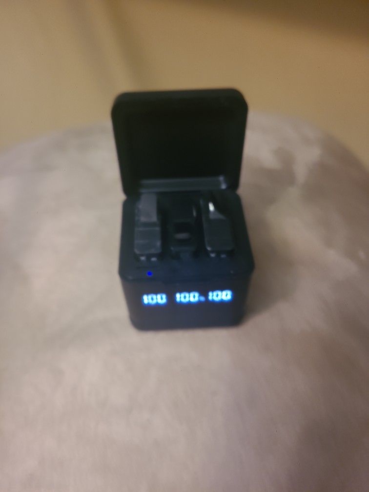 Go Pro Battery Charger