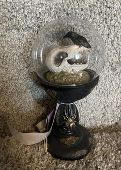 Haunted Living 10 In Led Skull Raven In Cloche Decoration Halloween Decor New