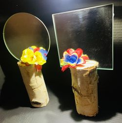 Tree Log Mirrors