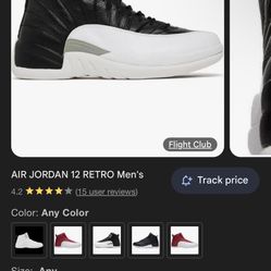 Jordan 12