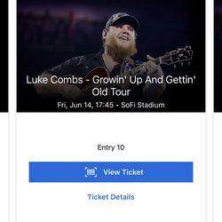 1 General Admission Luke Combes ticket 