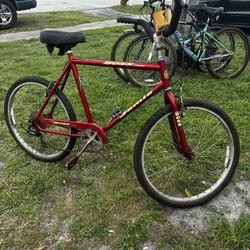 Boss Cruiser Bicycle