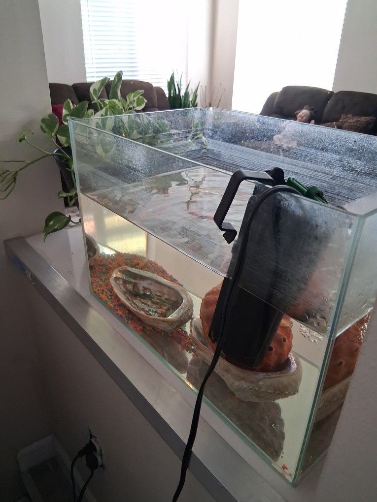 Fish Tank Aquarium 