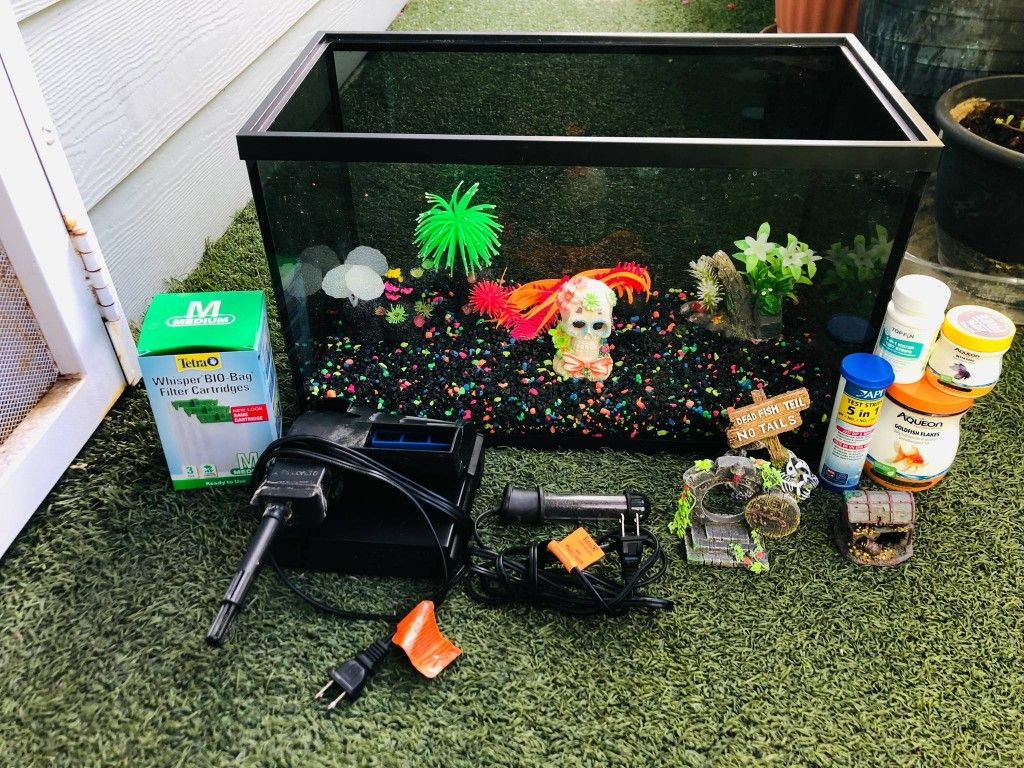 10 Gal Black Glass Aquarium Plus everything in the picture ( no hood and no lights )