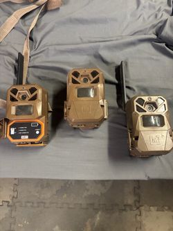 Trail cameras