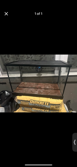 20 gallon tank