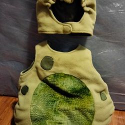 Turtle Halloween Costume