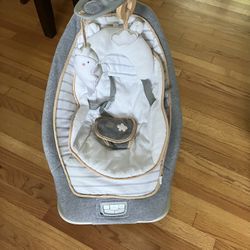Baby Bouncer 