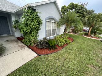 Mulch And Rocks Clean Up