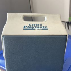 Little Playmate Igloo ice Food Chest 